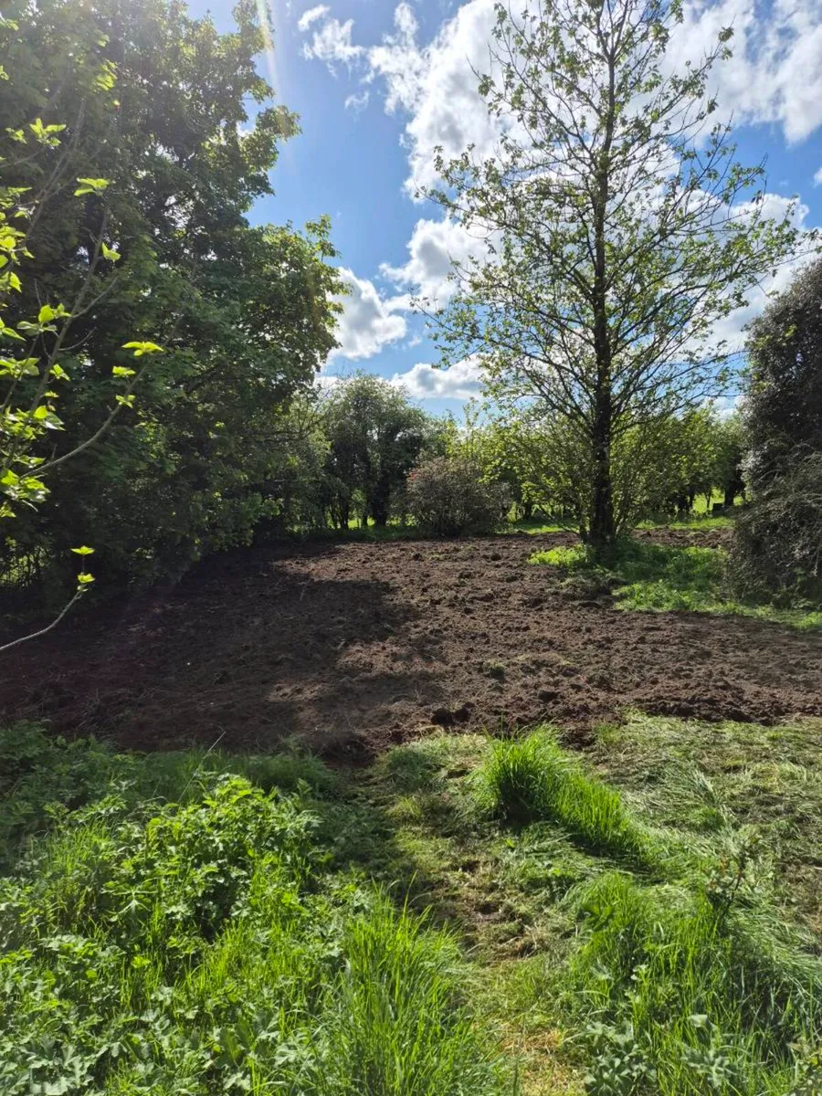 Mini digger for hire - Image 3