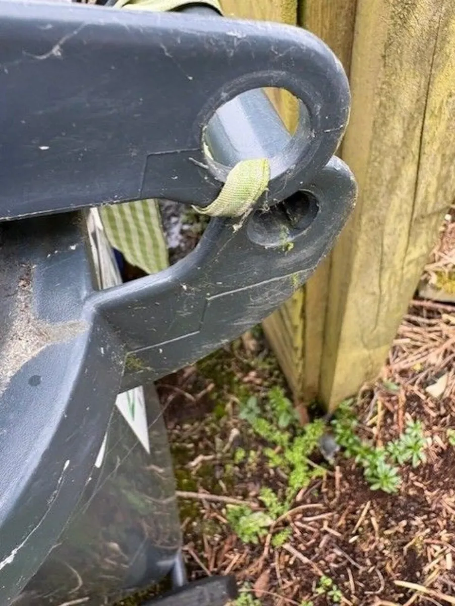 Two 240L wheelie bins - Image 3