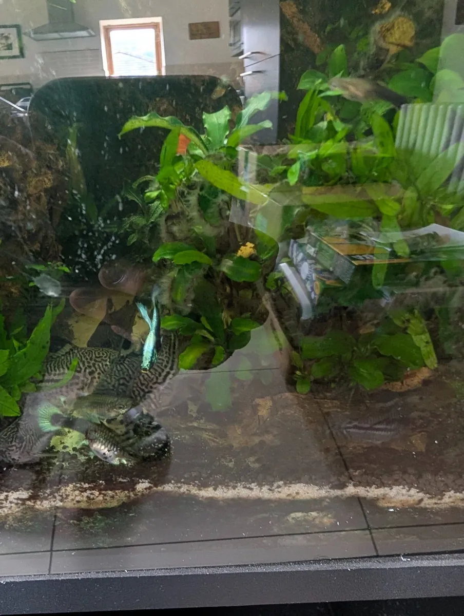 Fluval flex 57 - Image 4