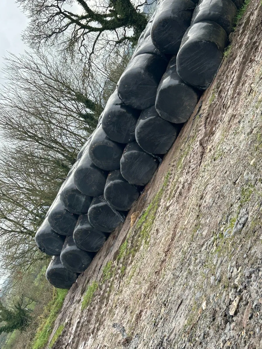 Silage - Image 1