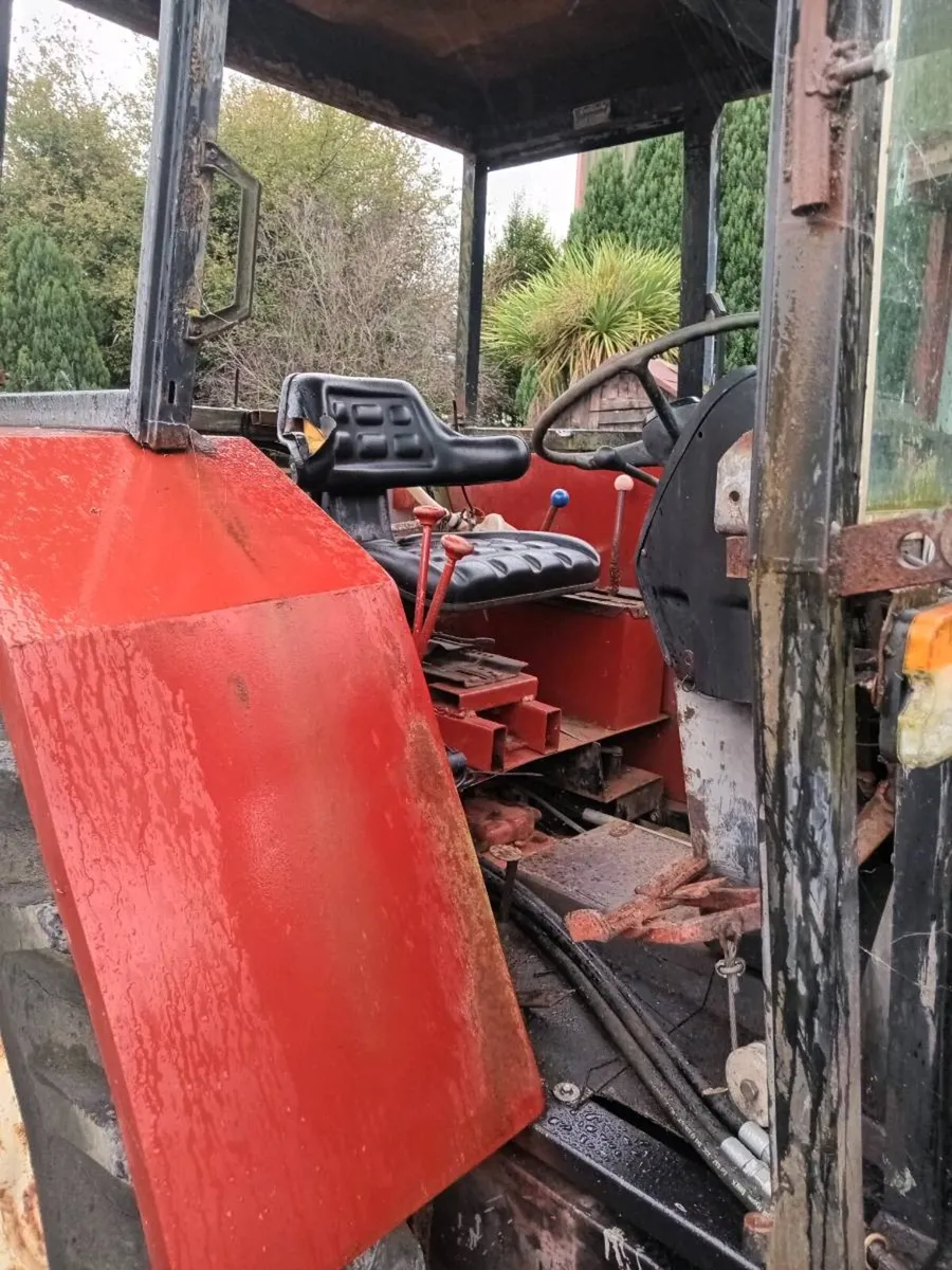 International 684 - Image 4