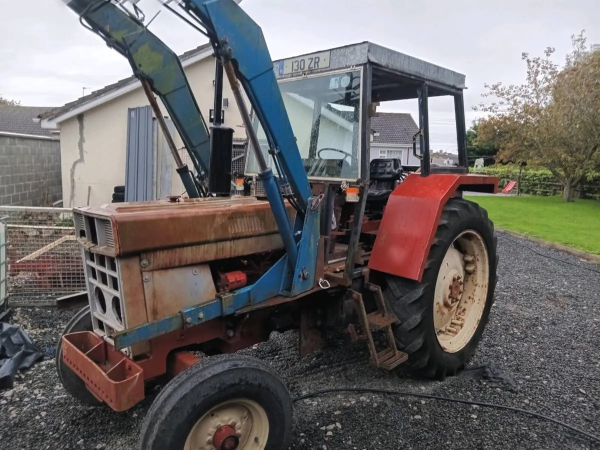 International 684 - Image 2