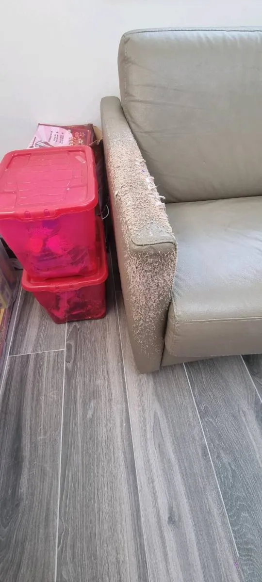 Italian leather couch/bed - Image 2