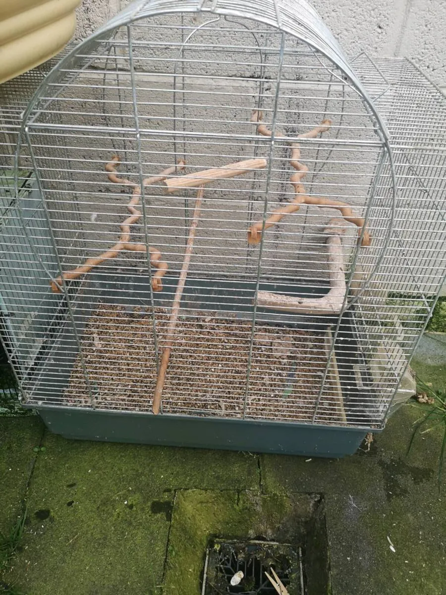 Bird cages free to take away - Image 2