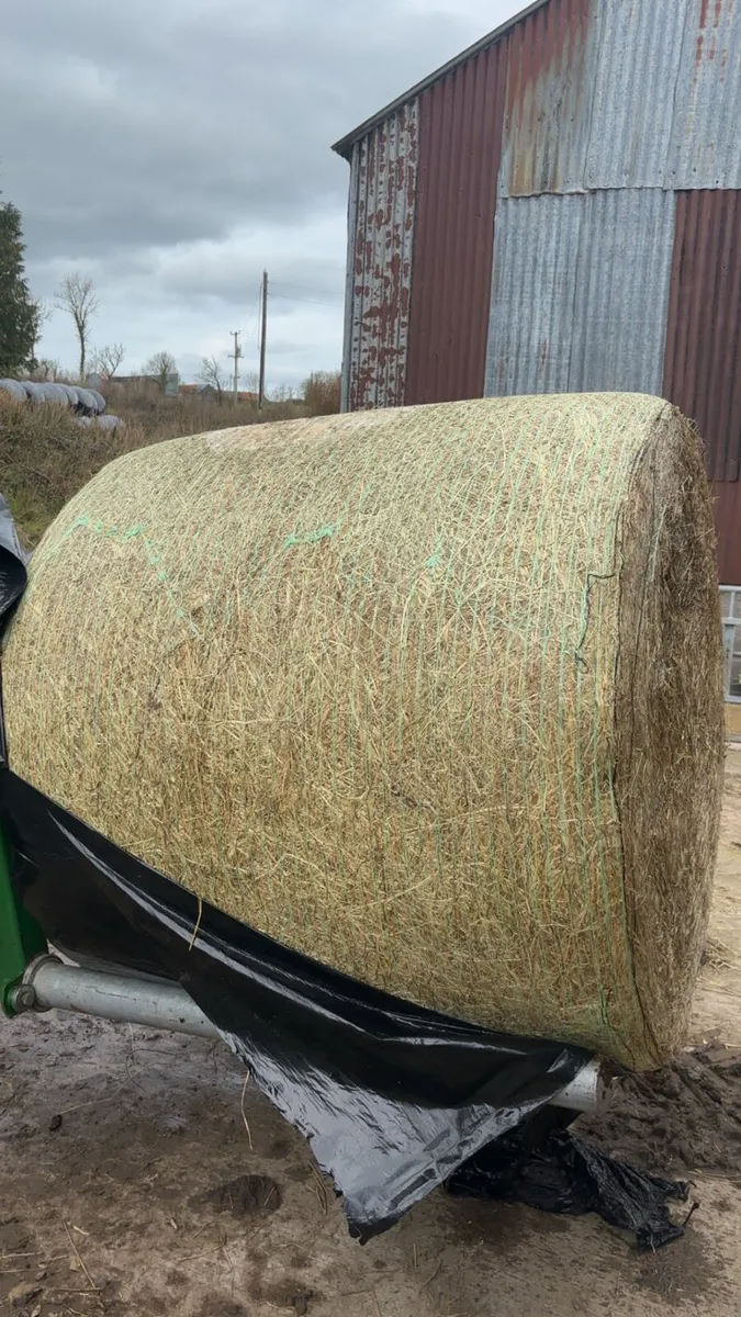 Haylage for sale - Image 1
