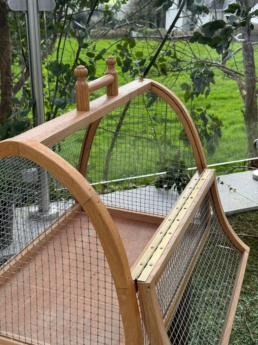 Handcrafted Oak Show Cage - Image 4