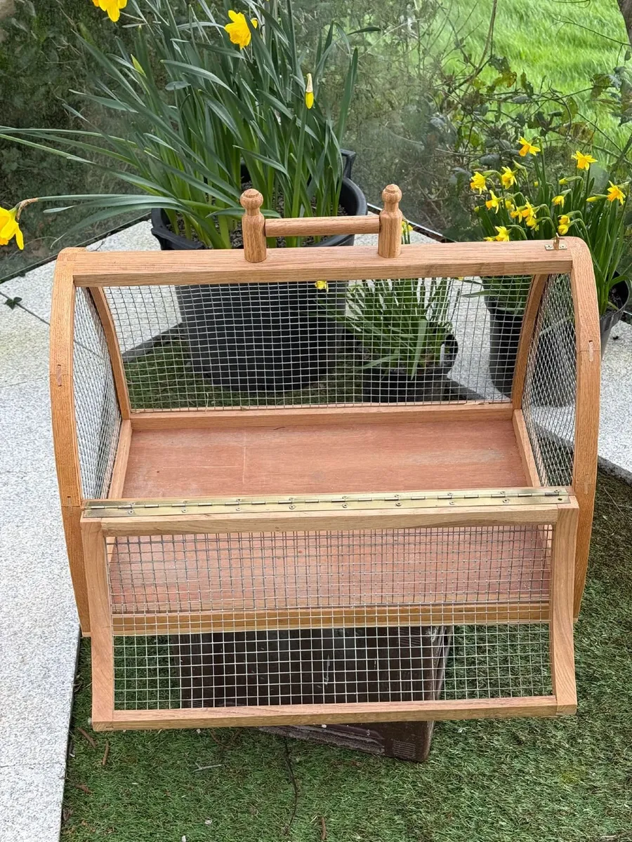 Handcrafted Oak Show Cage - Image 1