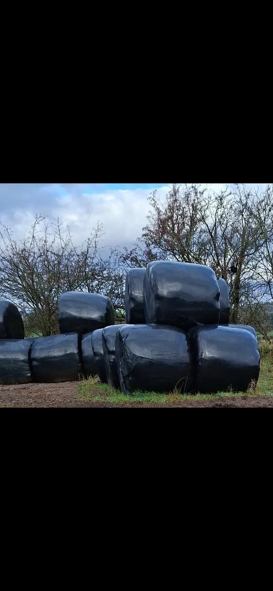 Silage bales