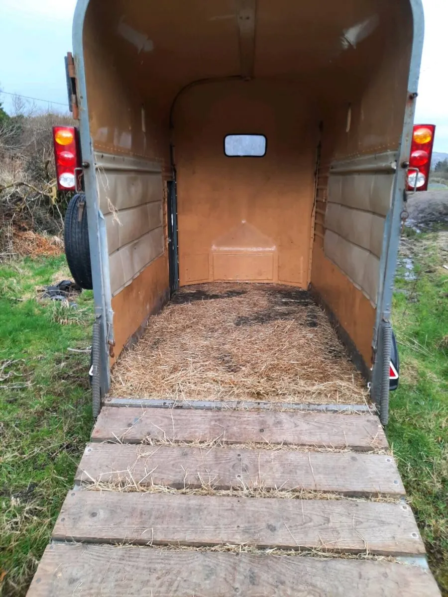 Horse box - Image 4