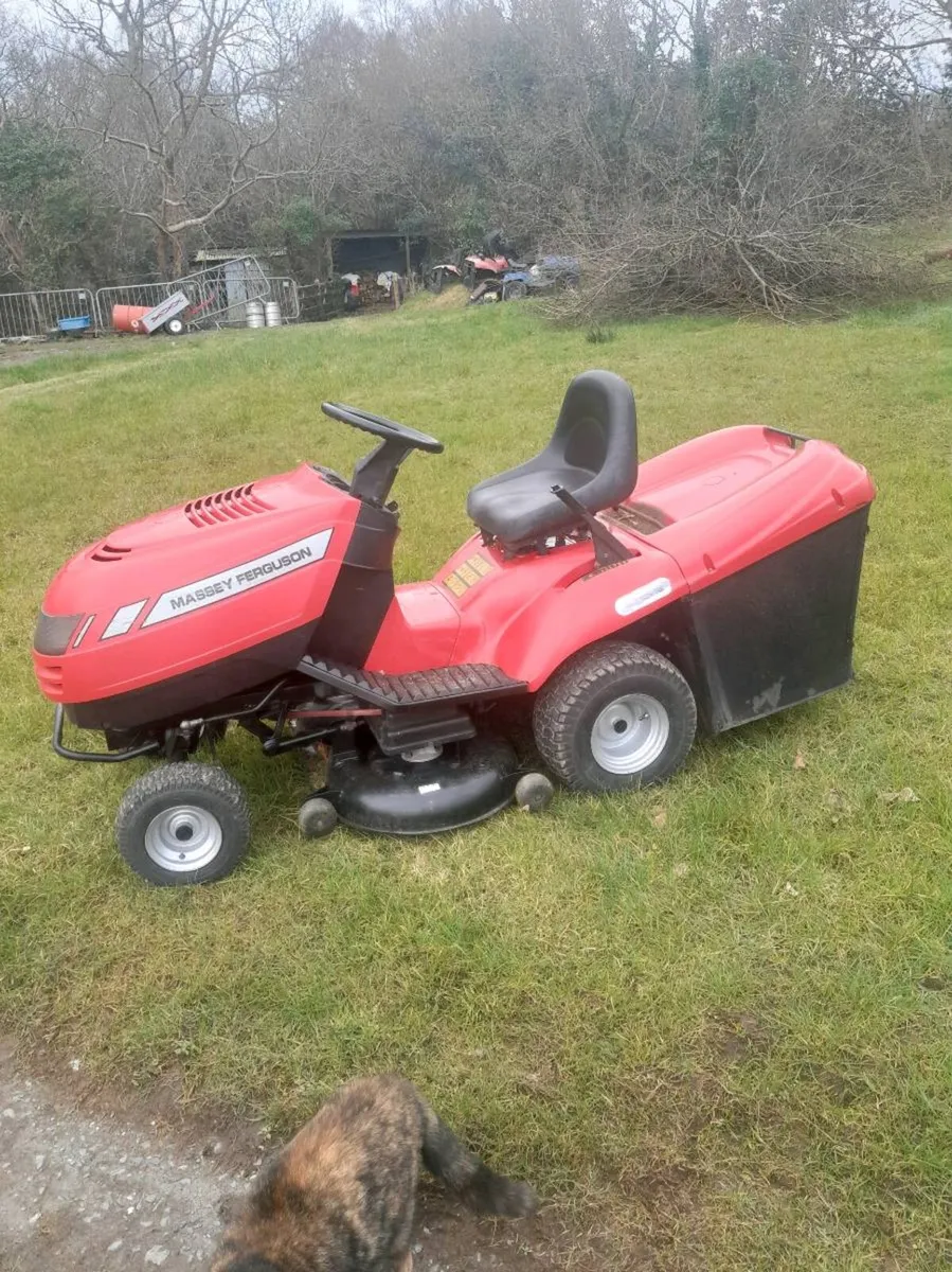 Mower - Image 1