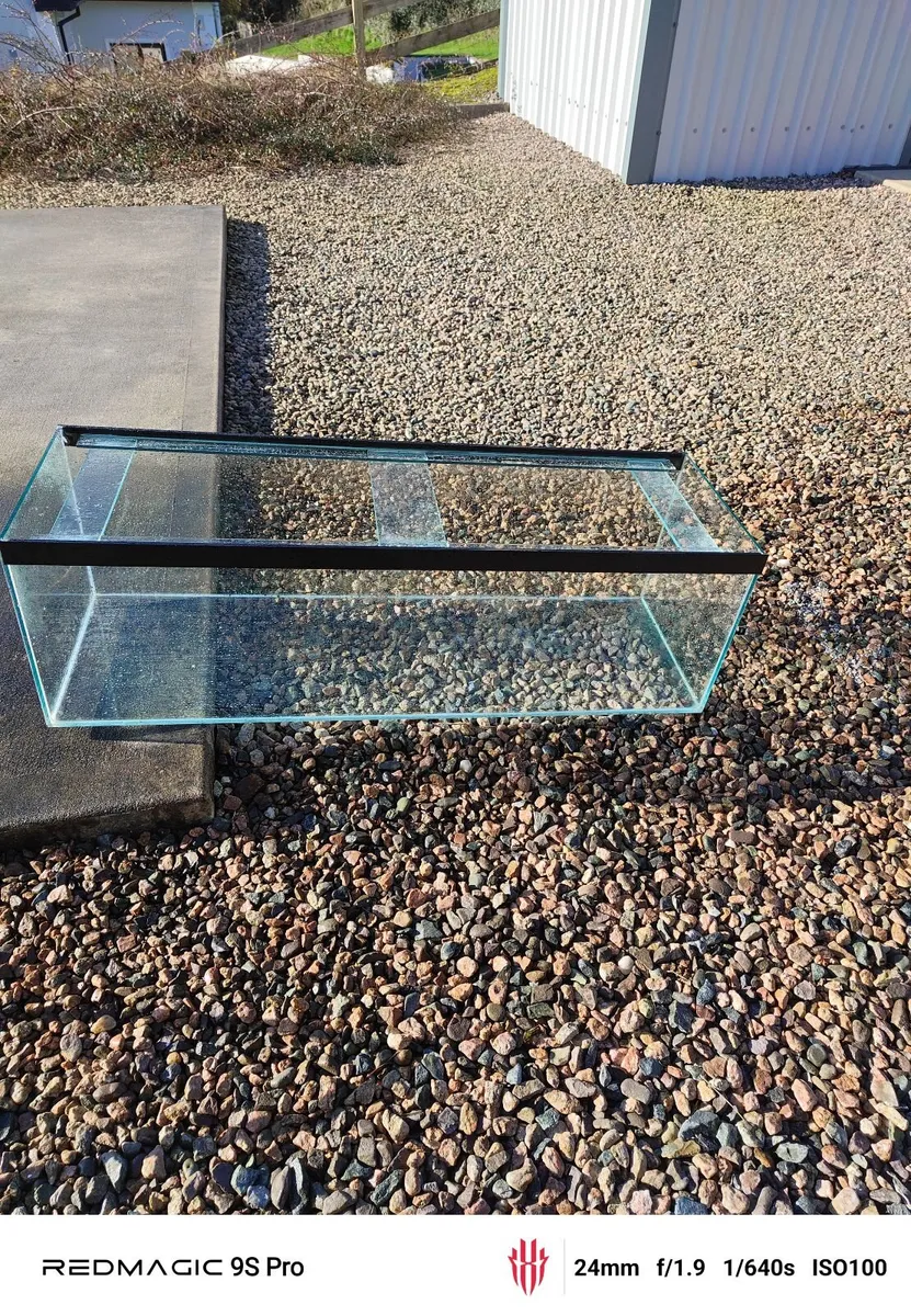 Fish Tank - Image 3