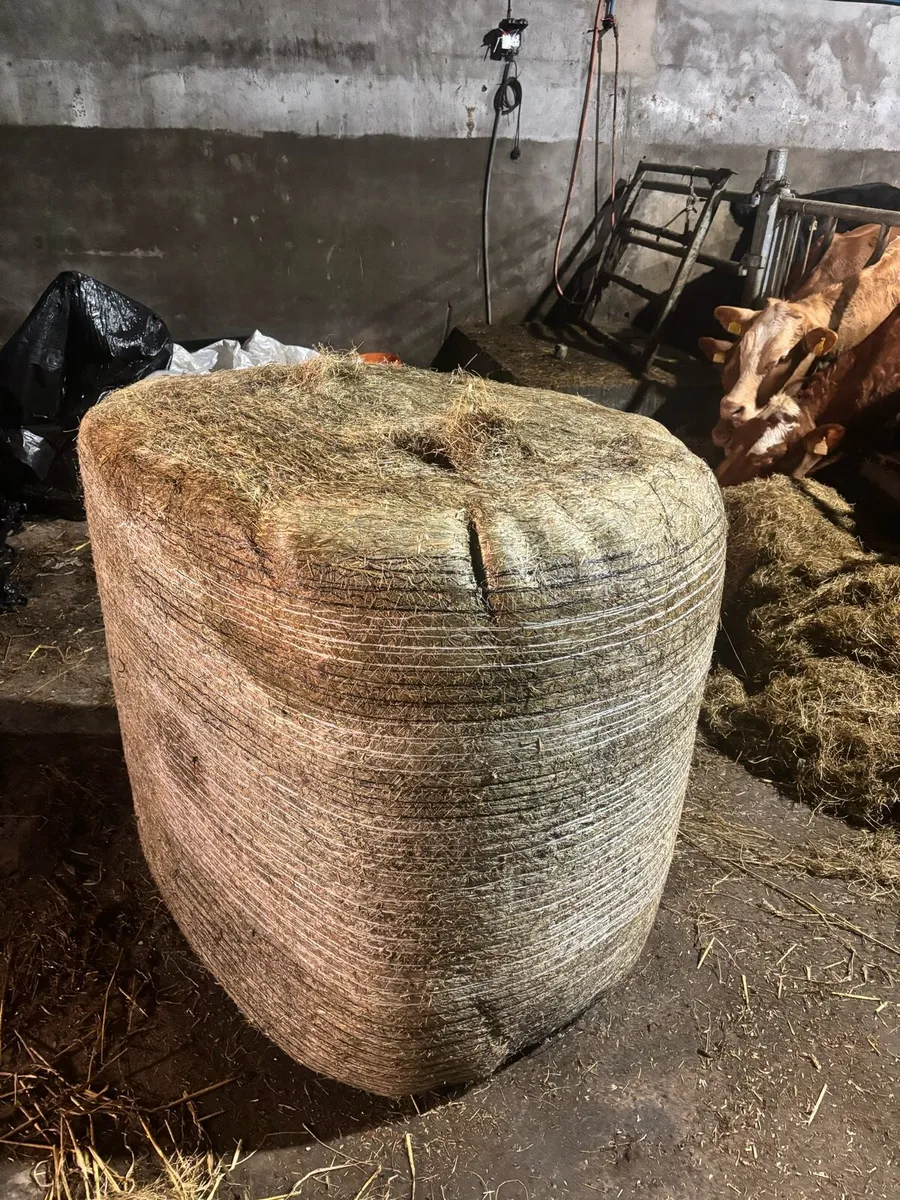 Haylage - Image 1