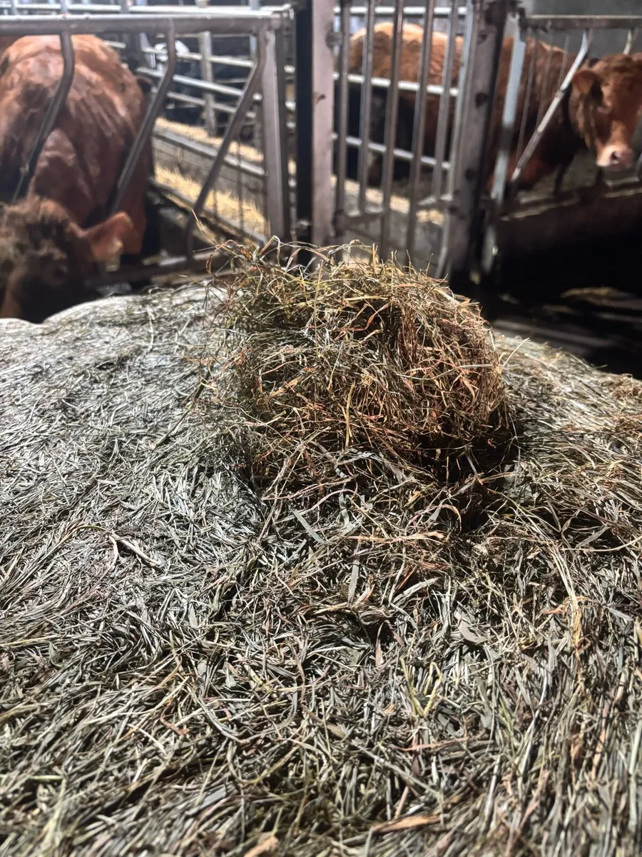 Haylage - Image 2