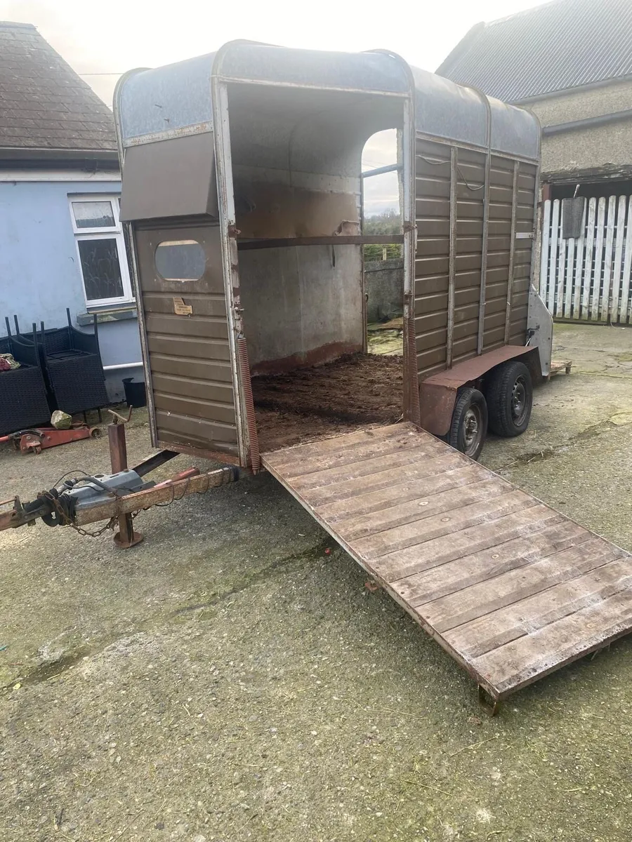 Horse box - Image 4