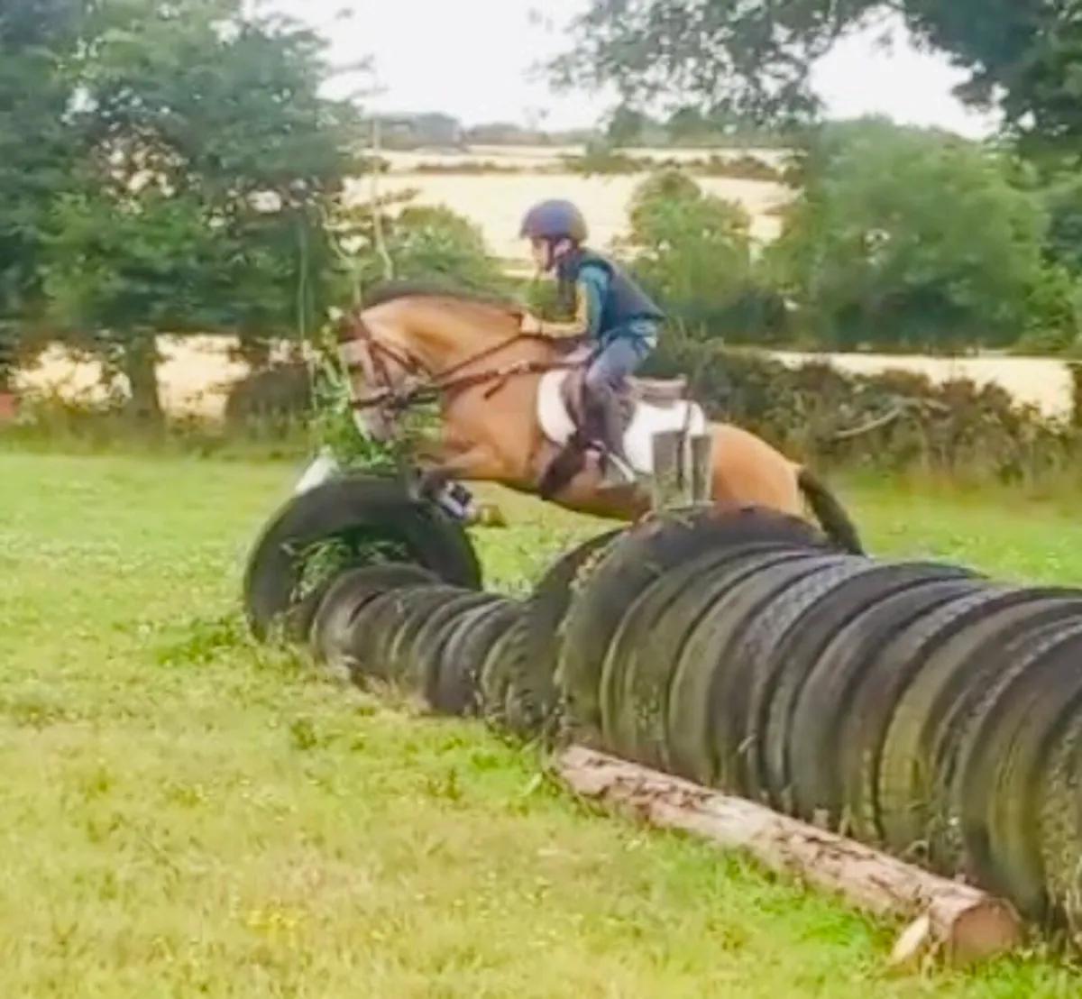 13 year old, 122cm mare - Image 4