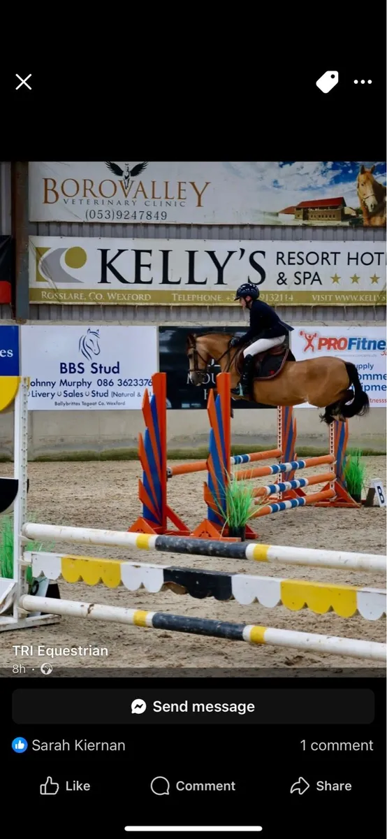 13 year old, 122cm mare - Image 2