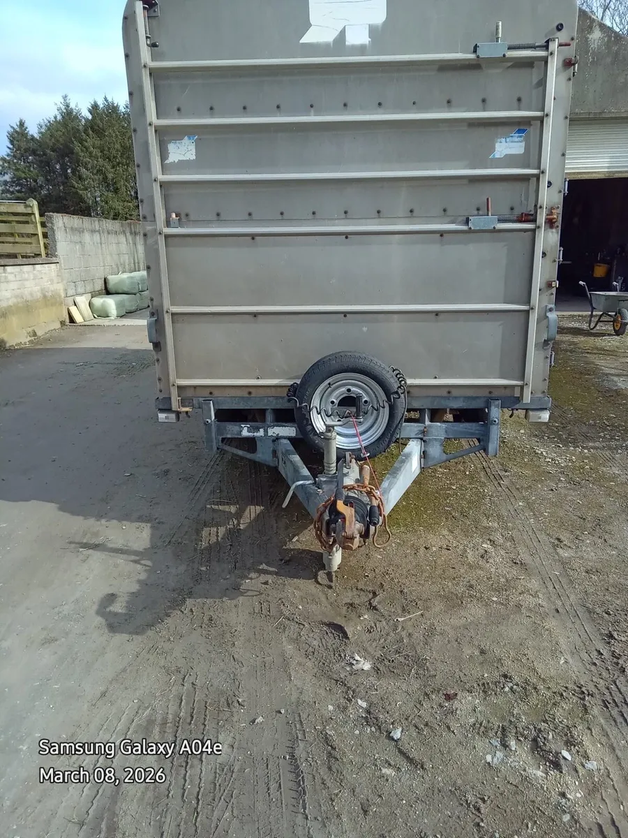 Ifor Williams 14ft x 6ft Tri-Axle Cattle Trailer - Image 1