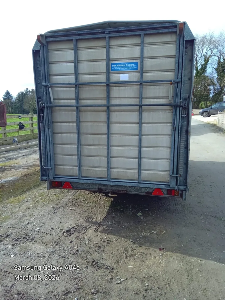 Ifor Williams 14ft x 6ft Tri-Axle Cattle Trailer - Image 4