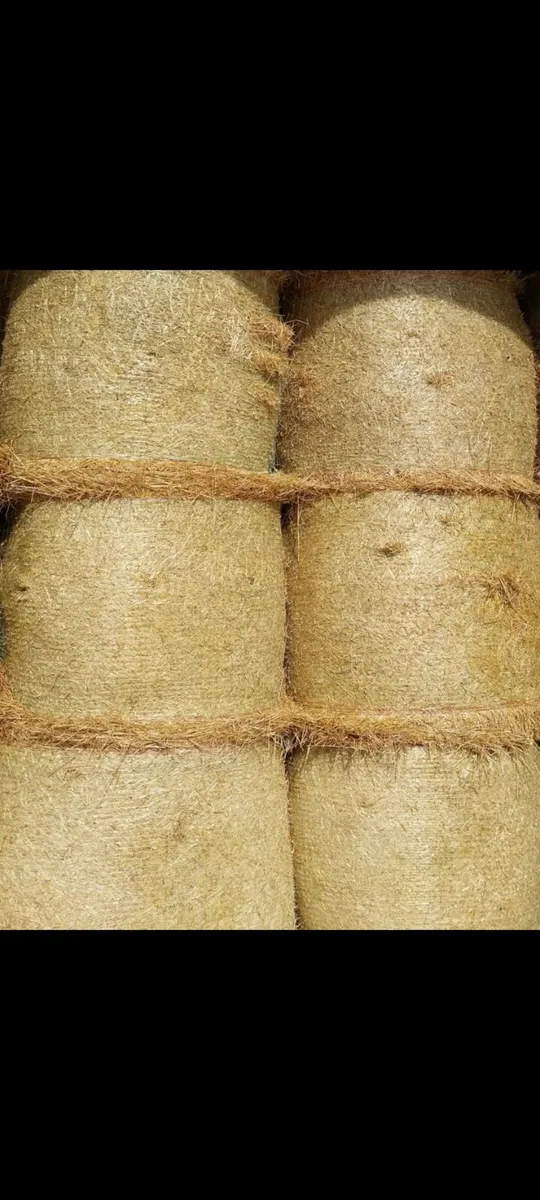 Straw 4x4 spring barley