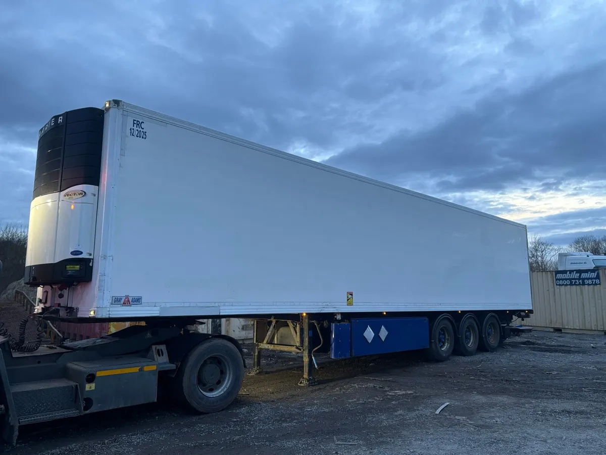 2009 Gray&adams - Image 3