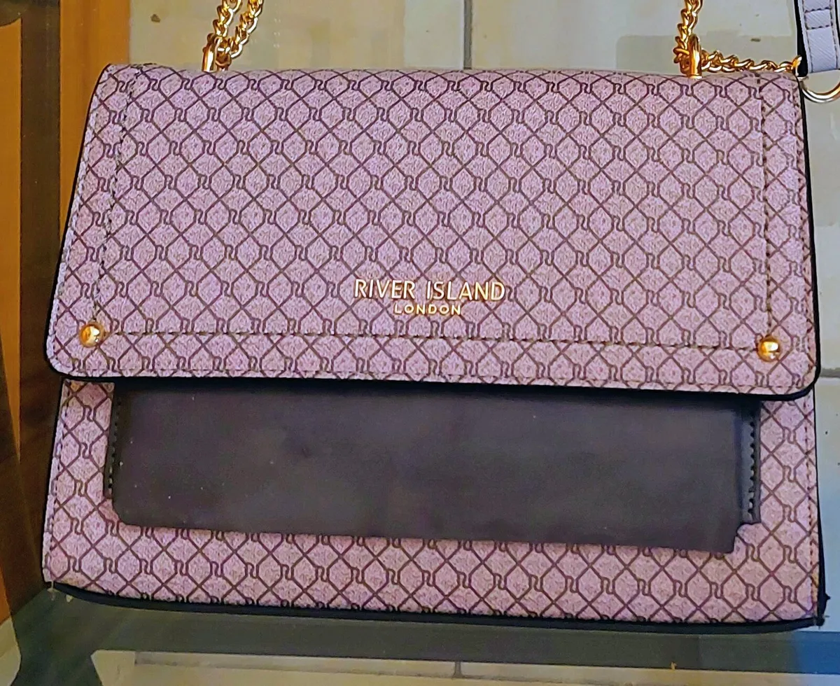 Beautiful Bag from River Island - Image 1