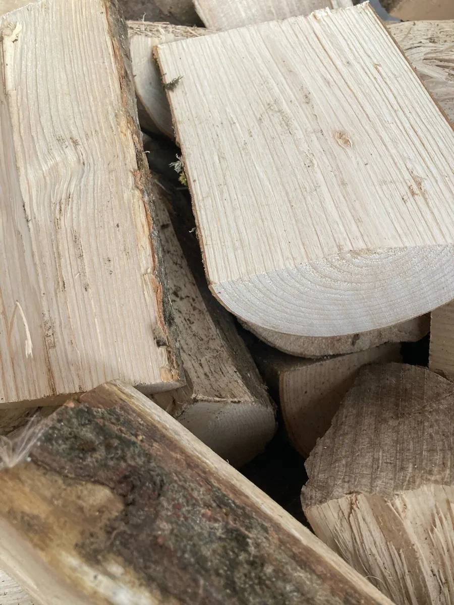 Firewood - Image 4