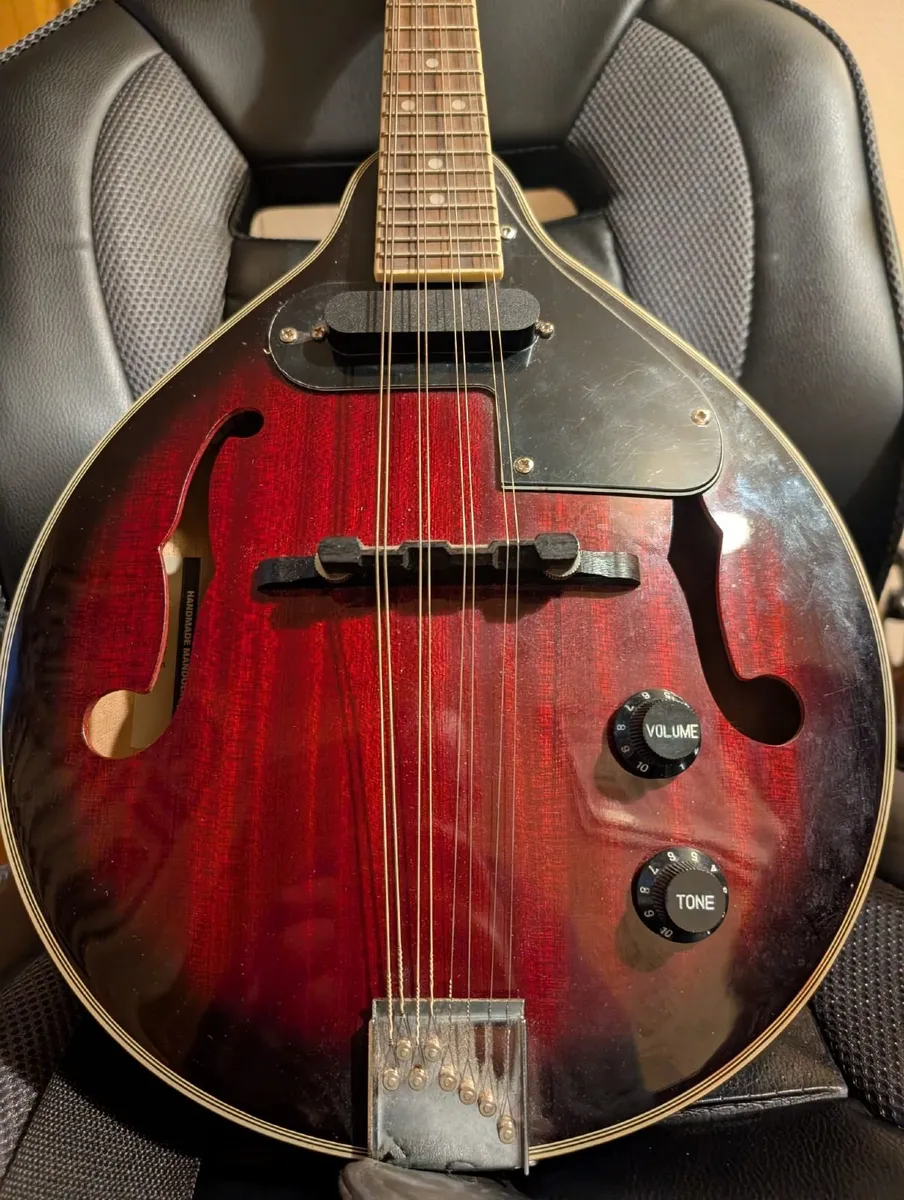 Stagg M50-E Electro-Acoustic Bluegrass Mandolin - Image 2