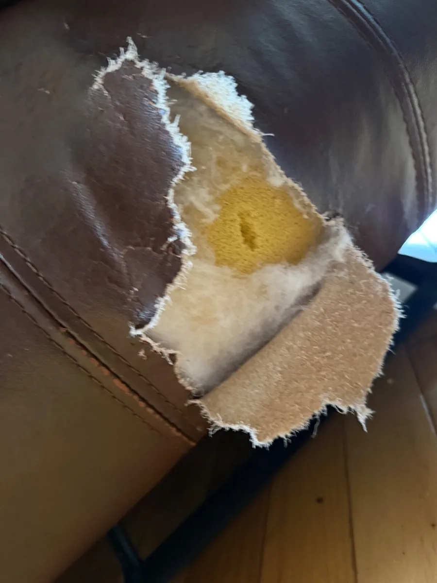 Suite of furniture/ Couch - Image 2