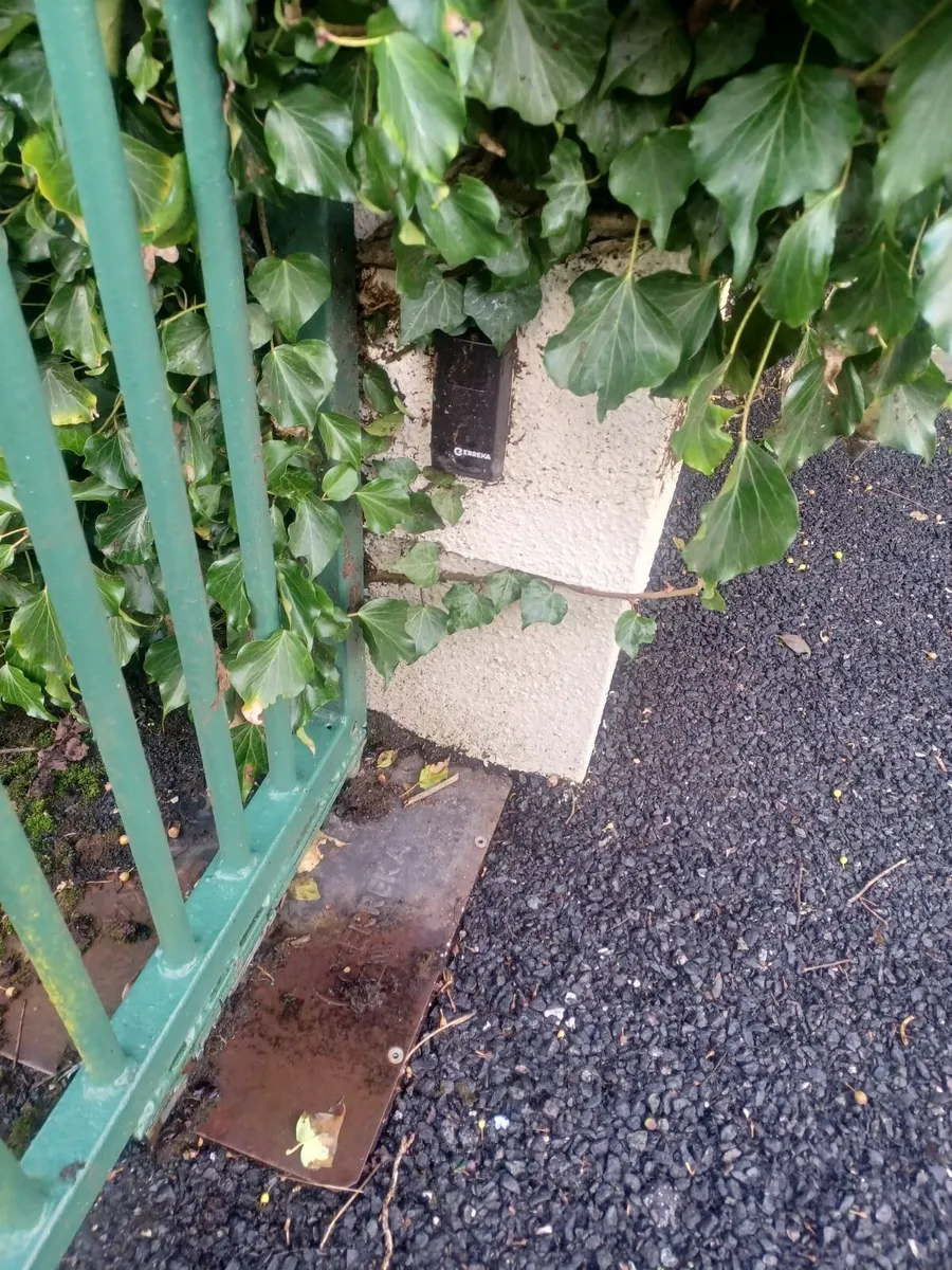 Steel gates and motors - Image 2