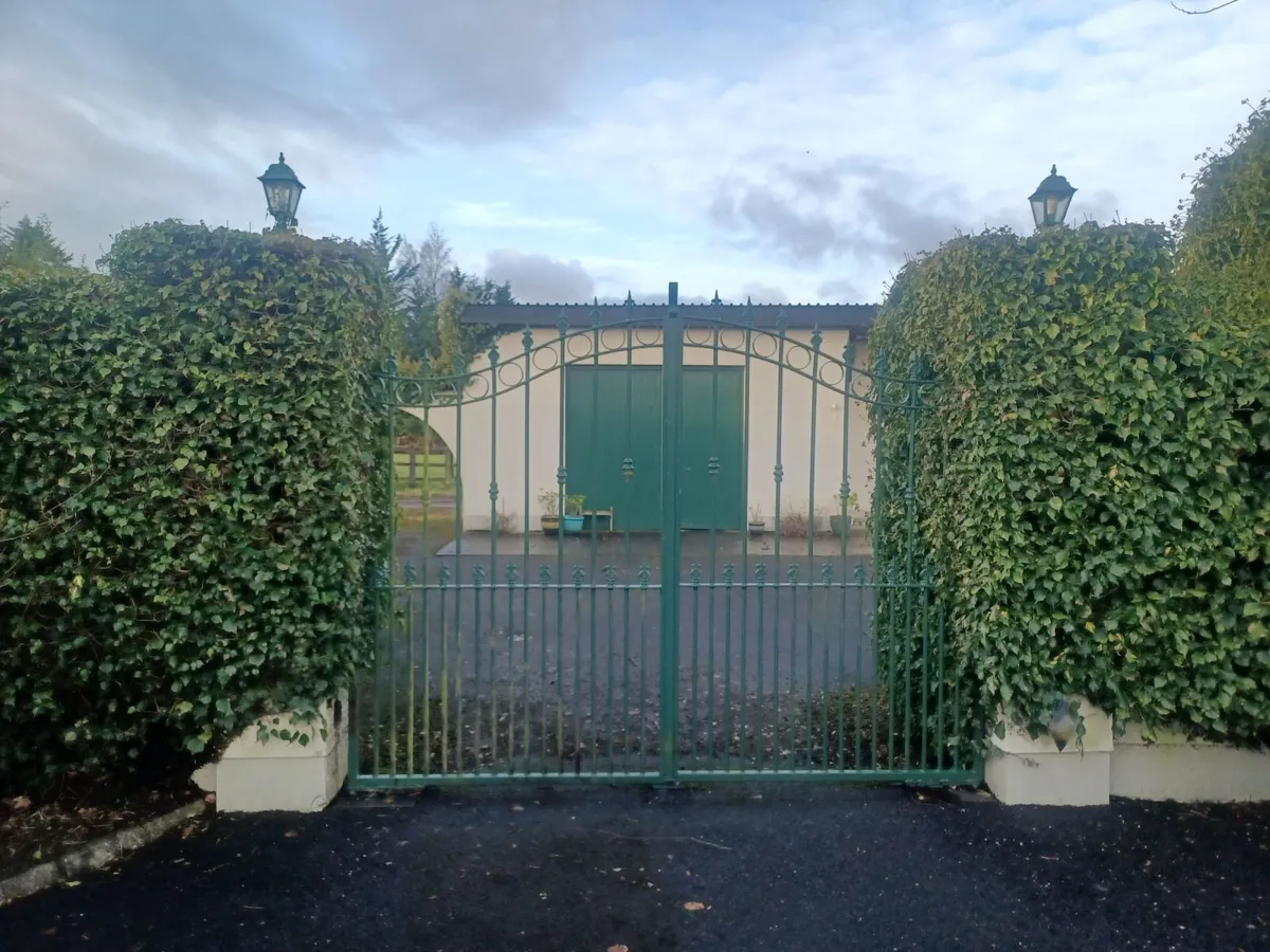 Steel gates and motors - Image 3