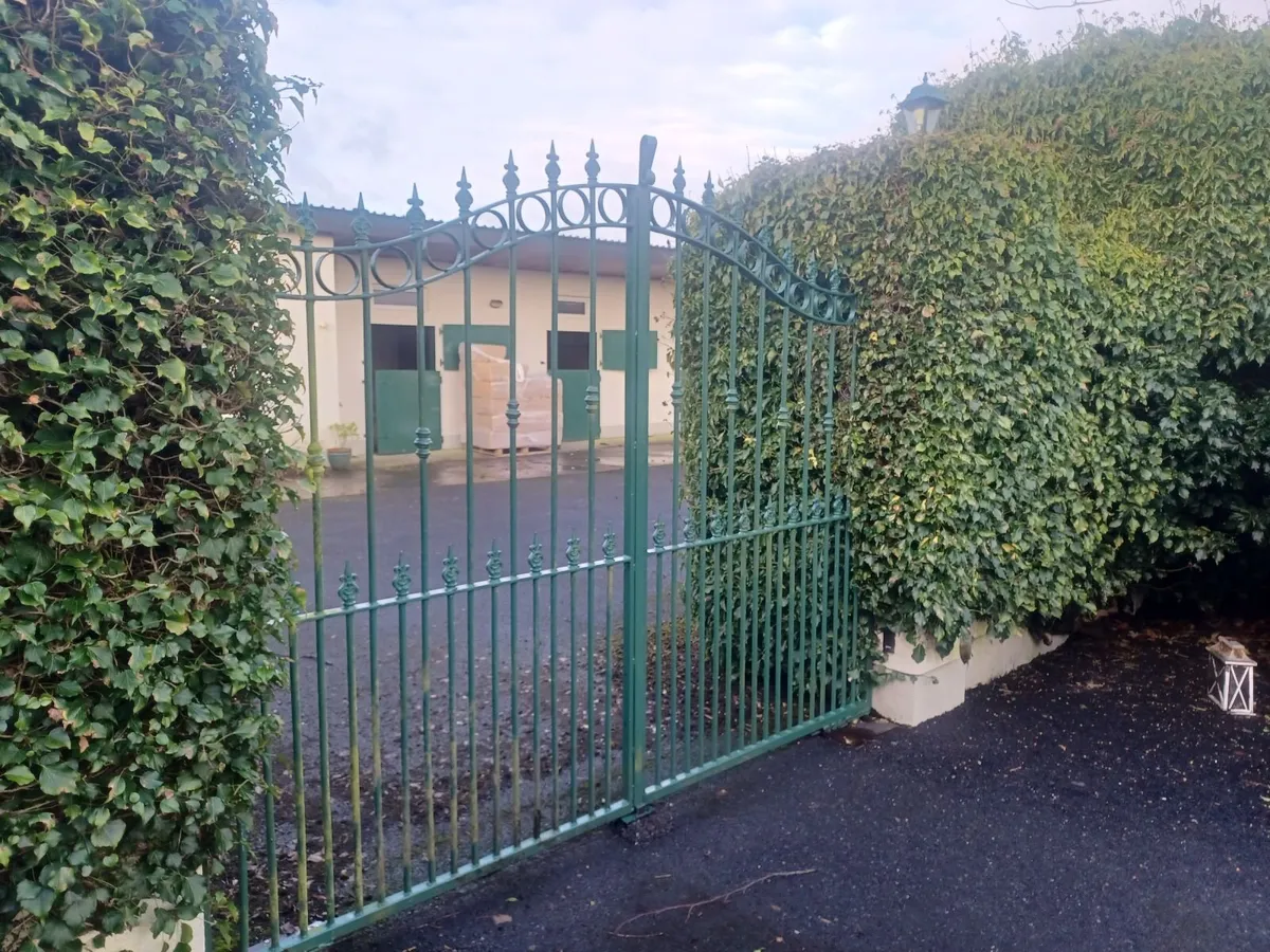 Steel gates and motors - Image 1