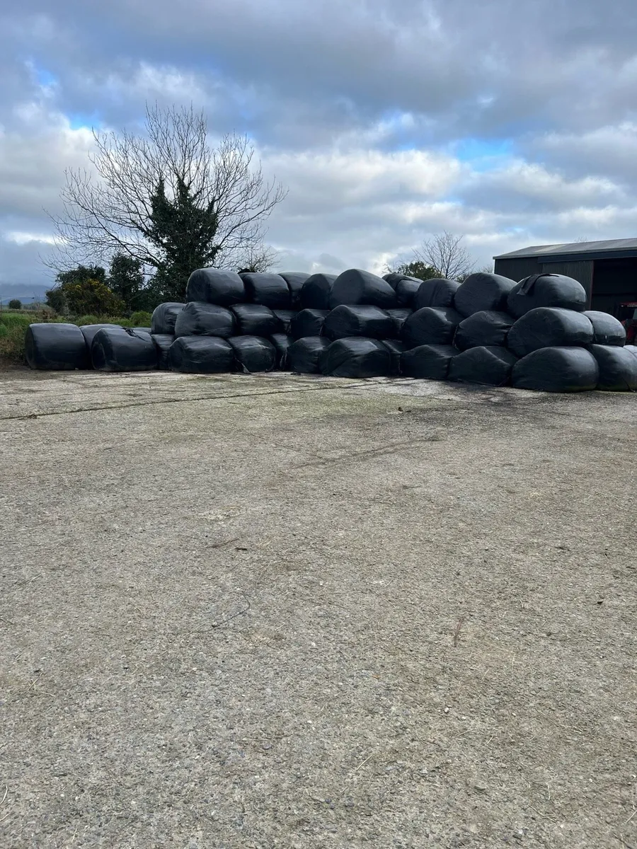 Baled Silage