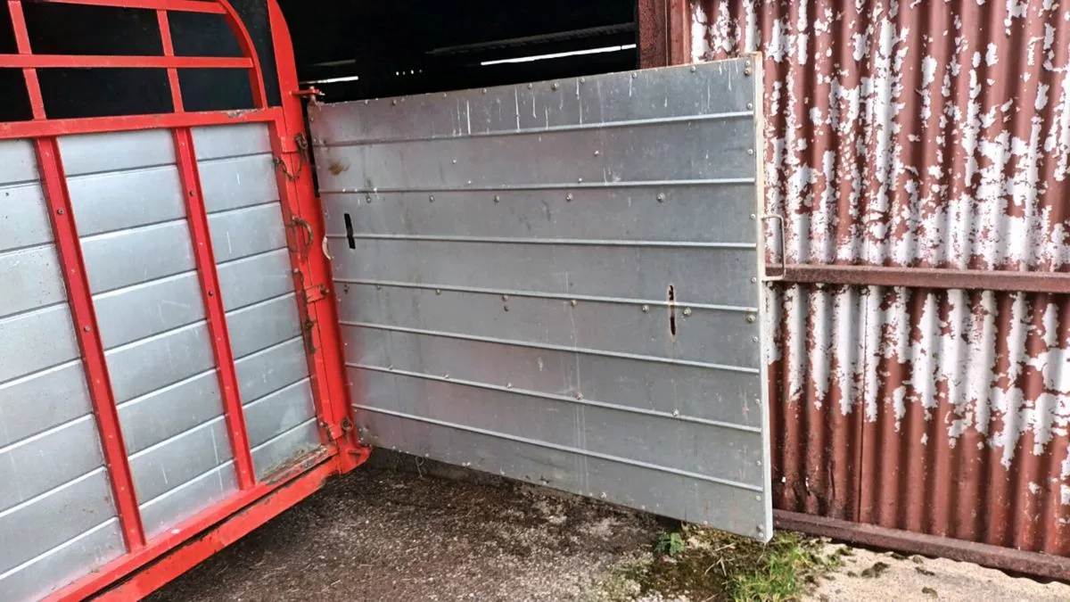 Cattle Trailer Doors - Image 3