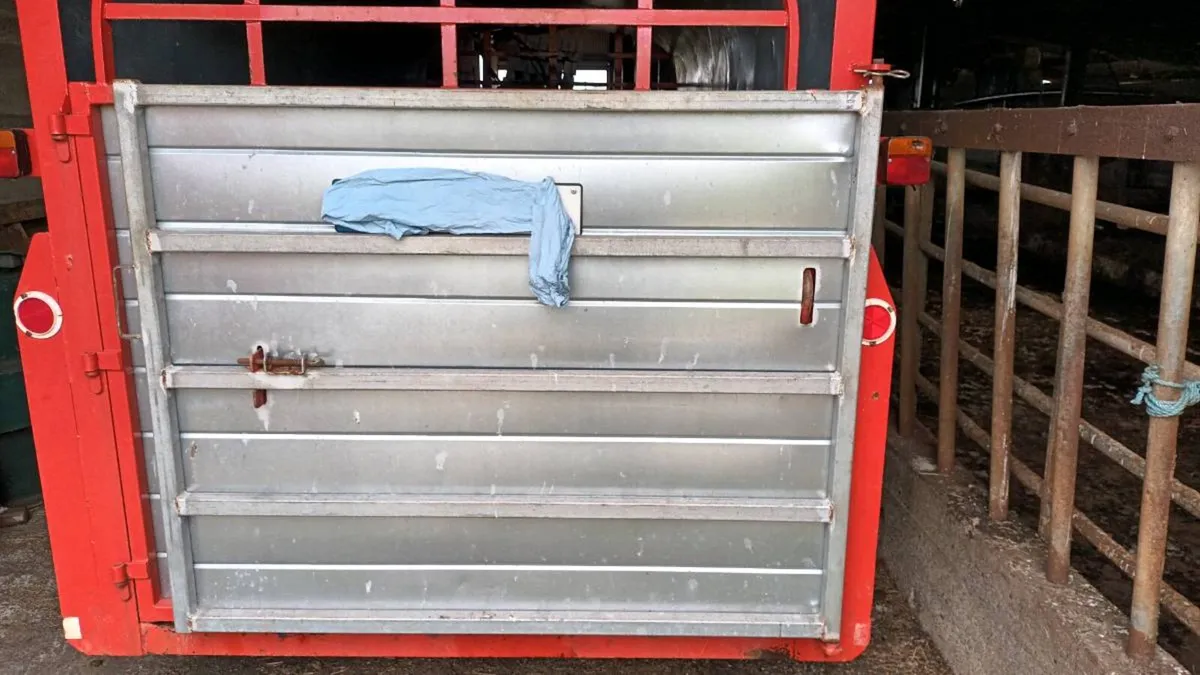 Cattle Trailer Doors - Image 4