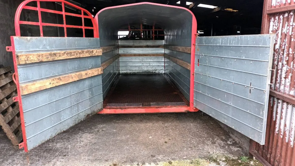 Cattle Trailer Doors - Image 2