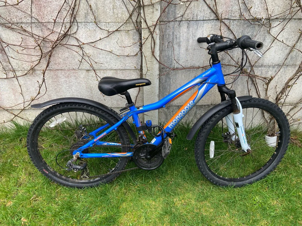 Mountain bike - Image 1