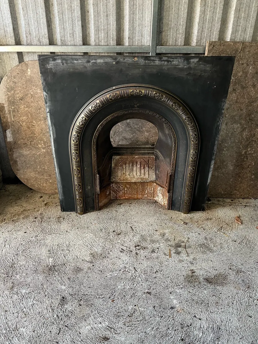 Fireplace insert