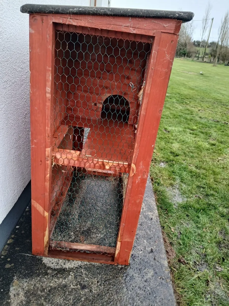 Large Rabbit Hutch - Image 4