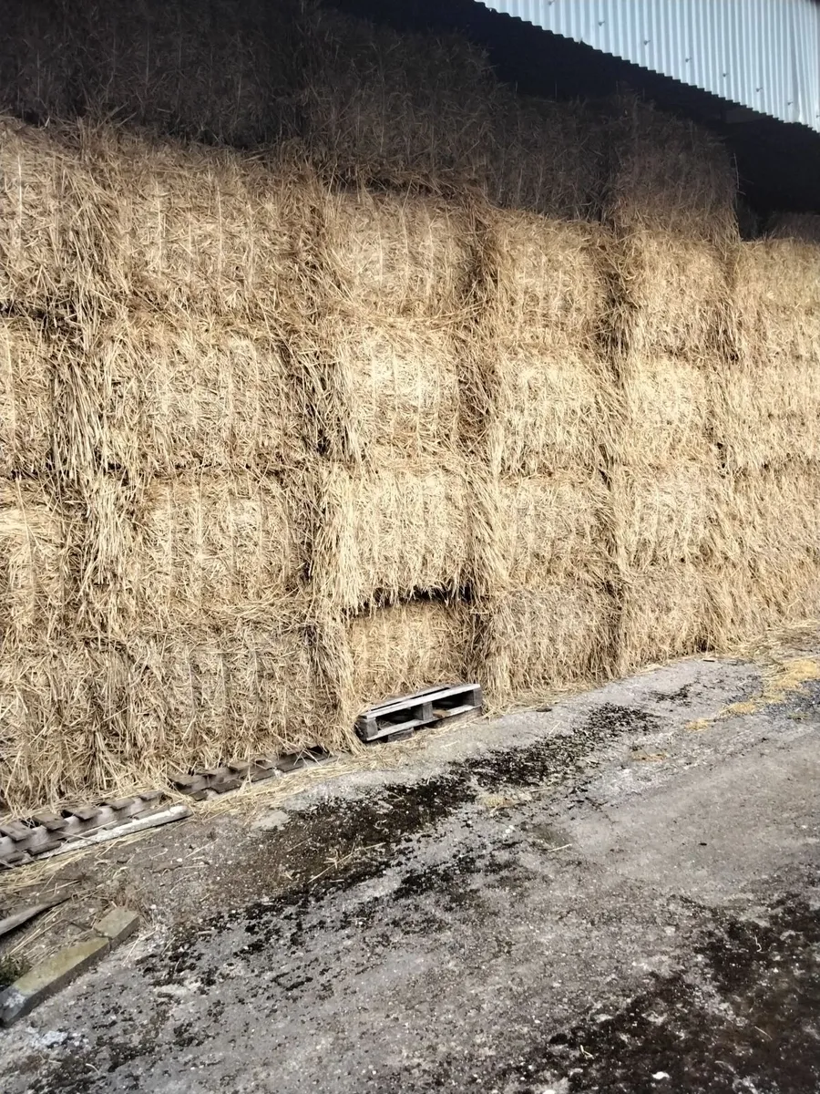 8x4x3 bales of Wheaten Straw for sale, Stradbally.