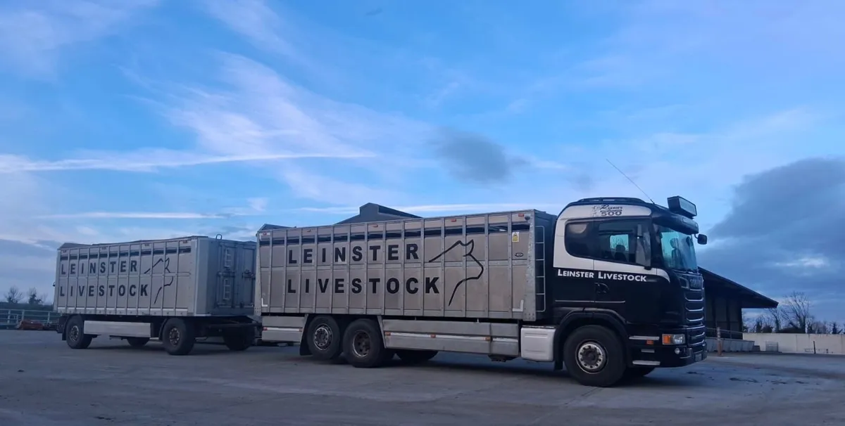 CALVES • HEIFERS • BULLOCKS • BULLS - Image 1