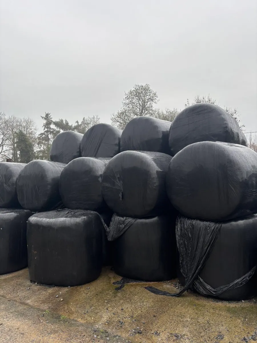 Silage Bales - Image 1