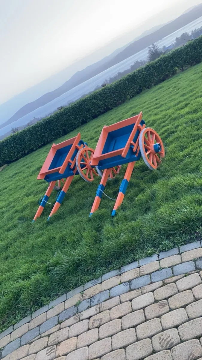 Donkey karts - Image 1