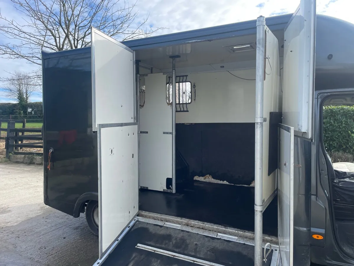Two horse van - Image 4