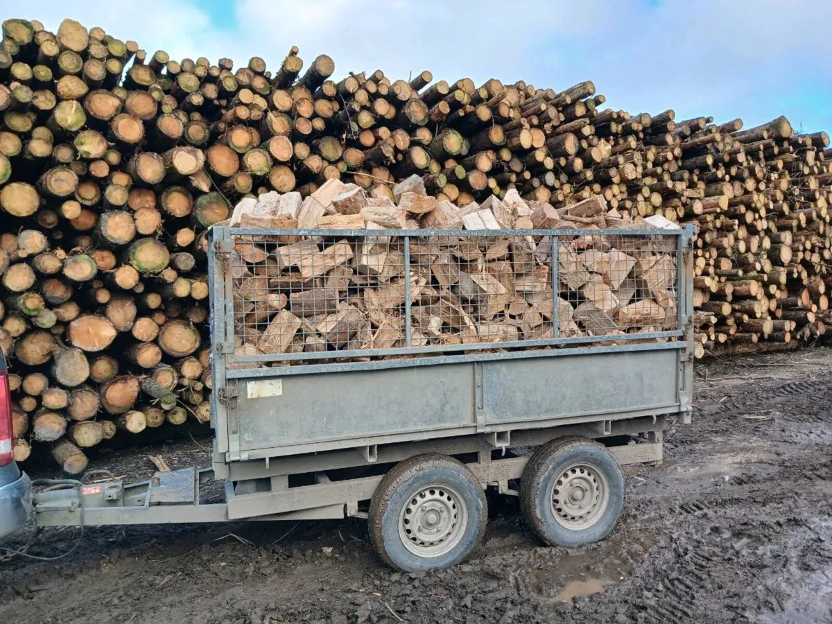 Firewood Cork City - Image 3