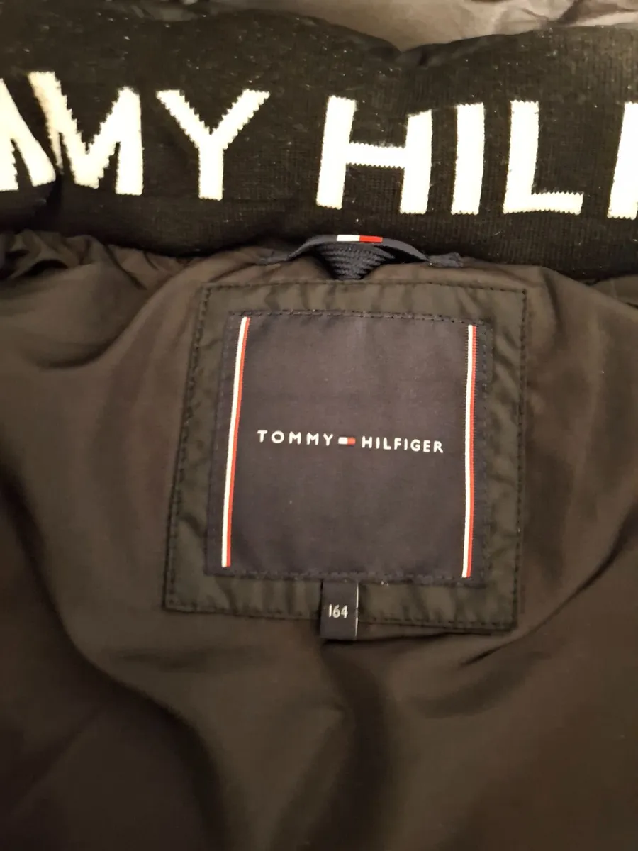 Tommy hilfiger & Zavetti Canada coats for teen - Image 2