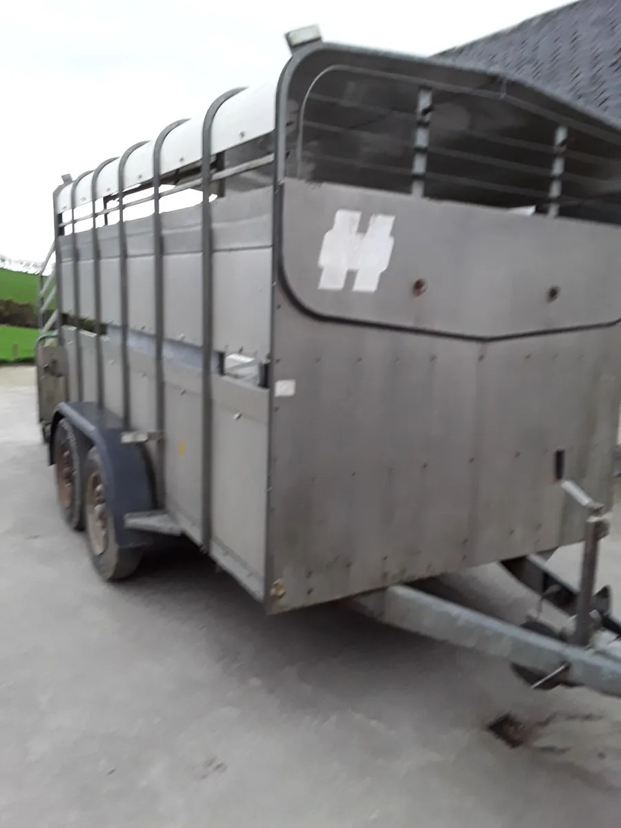 Cattle  Trailer - Image 2