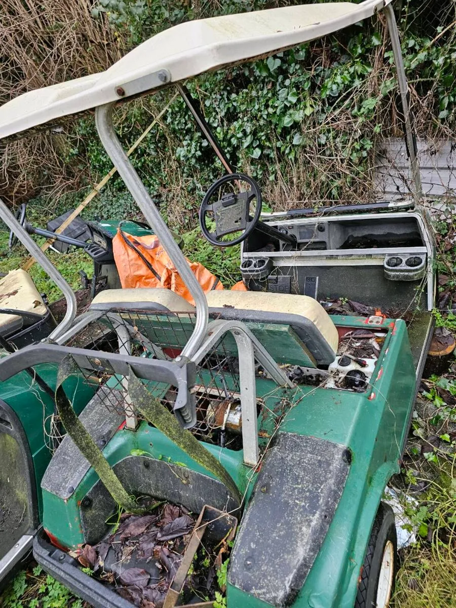 Ezgo Club Car golf buggys - Image 2