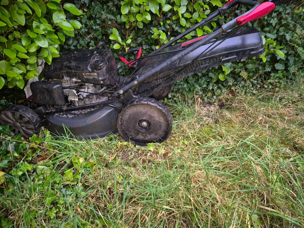 Lawnmower - Image 1