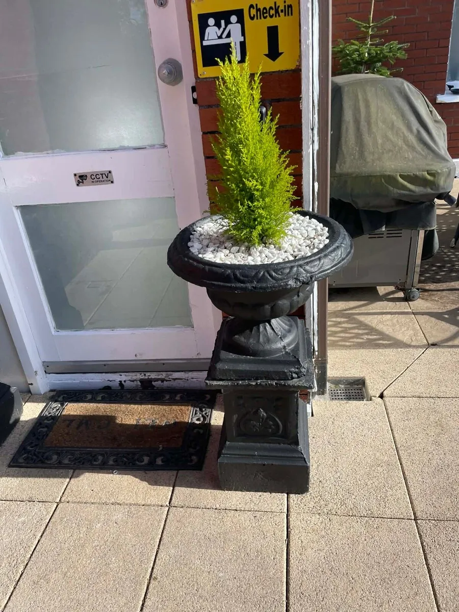 Garden flower pots x2 - Image 2