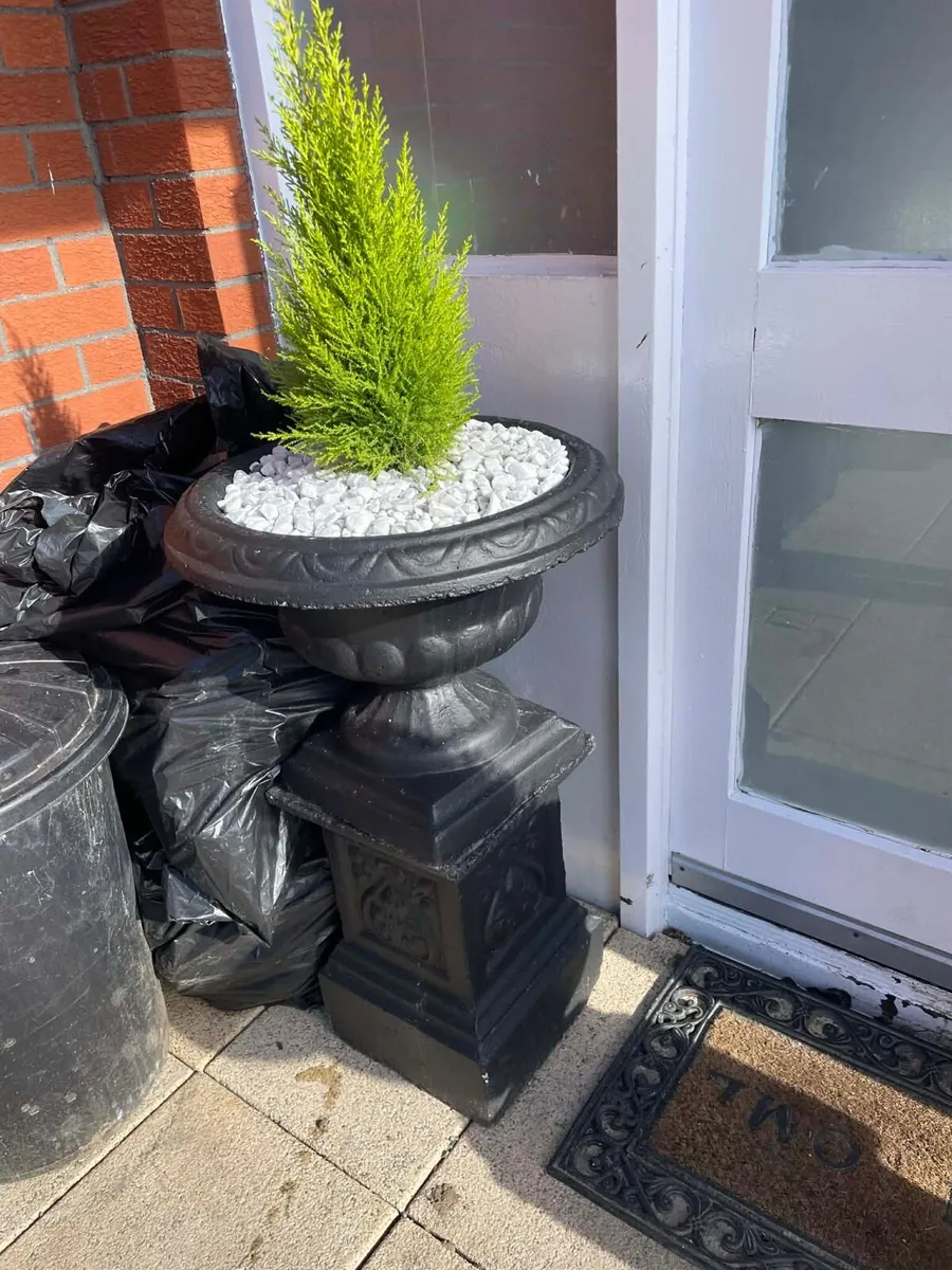 Garden flower pots x2 - Image 3